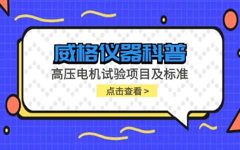 威格儀器-高壓電機(jī)試驗項目及標(biāo)準(zhǔn)插圖