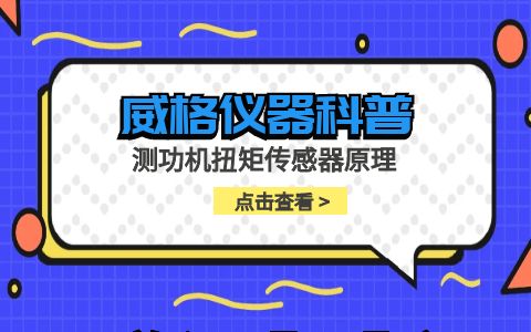 威格儀器-測功機扭矩傳感器原理插圖